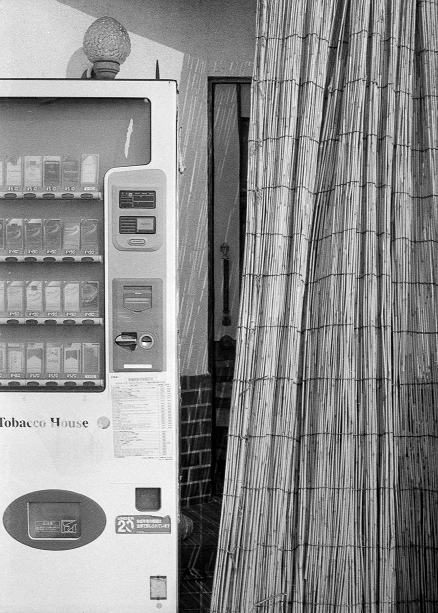 19 Fotografia . Tradição . Clara Figueiredo