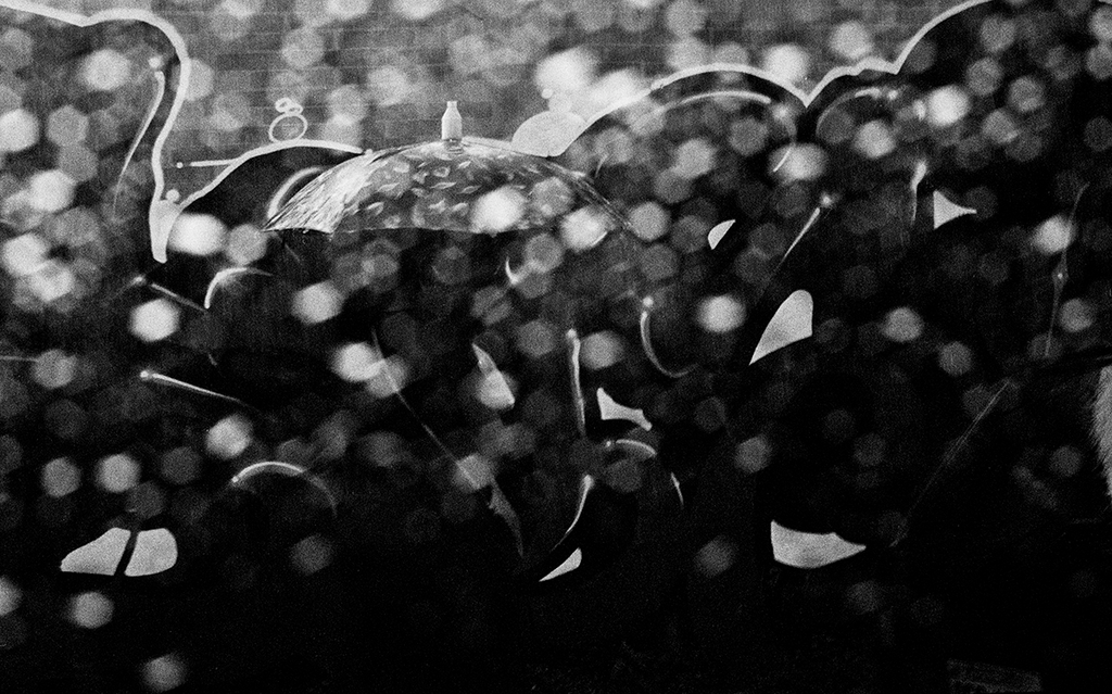47 Fotografia . Madrugada . Gabriel Bueno