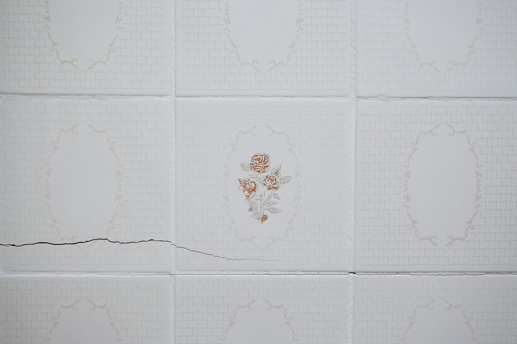 #146 Fotografia . Azulejo Rosa . Daniel Ducci