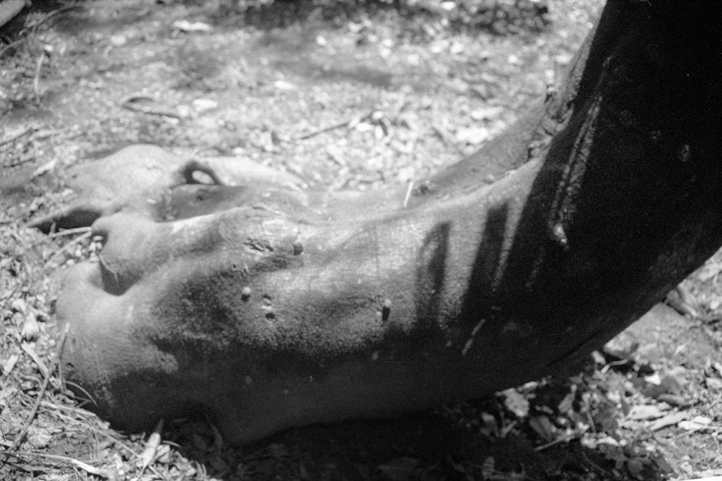 #119 Fotografia . Produto sustentável . Luisa Zucchi
