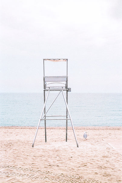 40 Fotografia . A Cadeira e a Gaivota . Fernanda Corsini